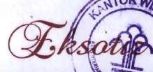 Trademark EKSOTIZ