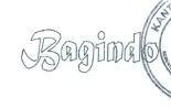 Trademark BAGINDO