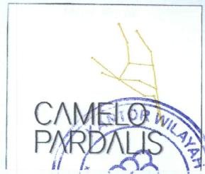 Trademark CAMELO PARDALIS