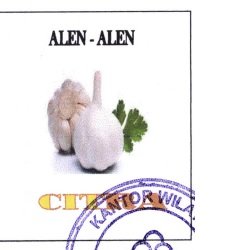 Trademark ALEN-ALEN CITRA