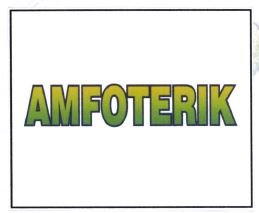 Trademark AMFOTERIK