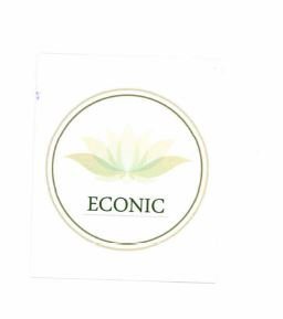 Trademark ECONIC + LOGO