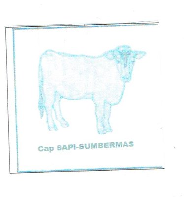 Trademark CAP SAPI SUMBERMAS