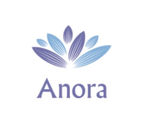 Trademark Anora + Logo/ Lukisan