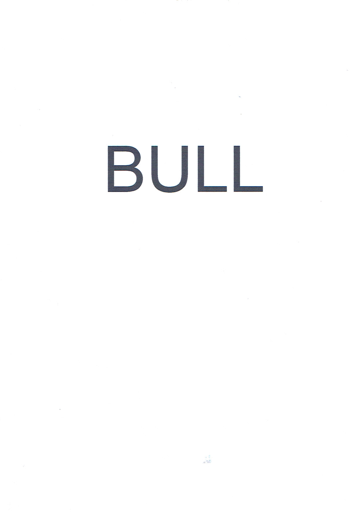 Trademark BULL