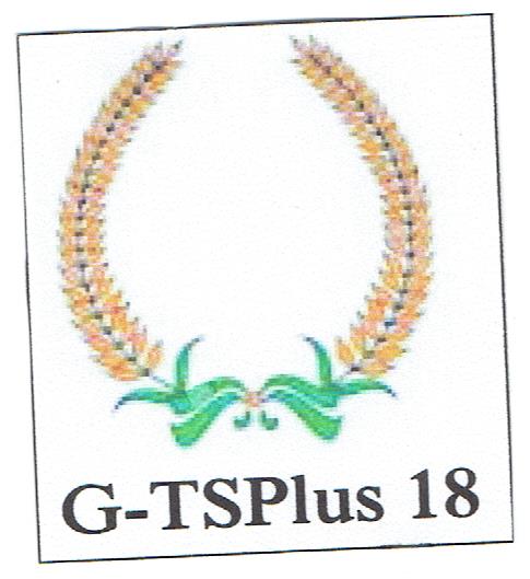 Trademark G-TSPlus 18