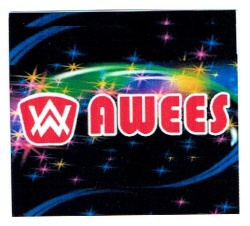 Trademark AWEES + LOGO