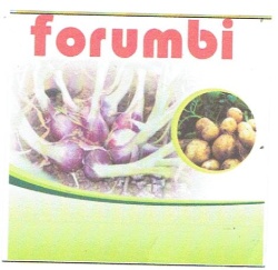 Trademark FORUMBI + LUKISAN