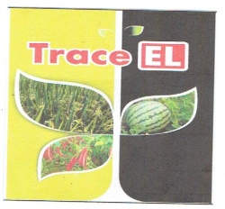 Trademark TRACE EL + LOGO/LUKISAN