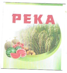 Trademark PEKA + LUKISAN