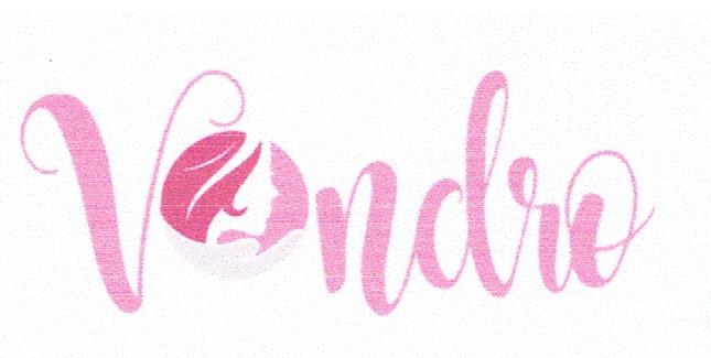 Trademark VONDRO + LOGO
