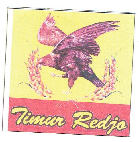 Trademark TIMUR REDJO + LOGO