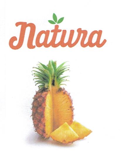 Trademark Natura + lukisan