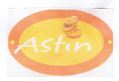 Trademark ASTIN + LOGO