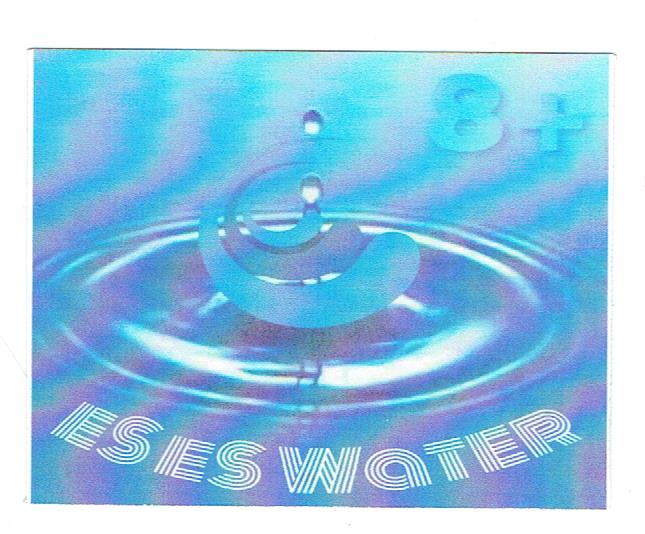 Trademark ES ES WATER 8+ + LUKISAN