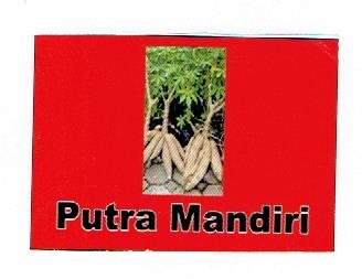 Trademark PUTRA MANDIRI