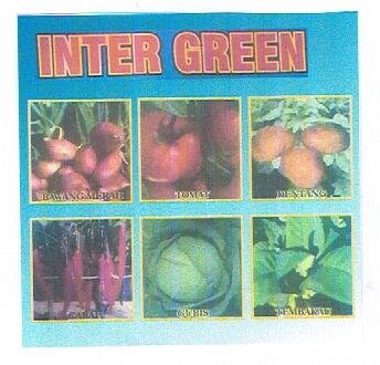 Trademark INTER GREEN