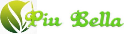 Trademark PIU BELLA + LOGO