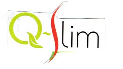 Trademark Q-SLIM + LOGO