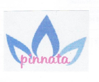 Trademark PINNATA + LUKISAN