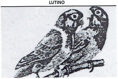 Trademark LUTINO + LUKISAN