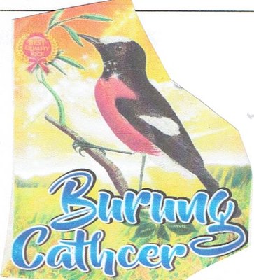 Trademark BURUNG CATHCER + LUKISAN