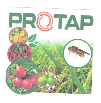 Trademark PROTAP + LUKISAN