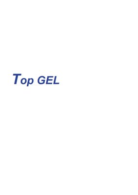 Trademark TOP GEL