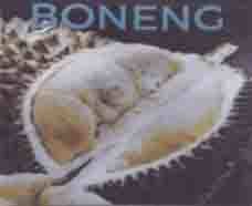 Trademark BONENG + LOGO