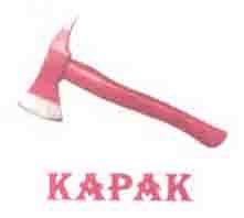 Trademark KAPAK + LOGO