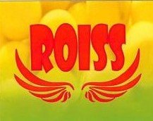 Trademark ROISS + LOGO