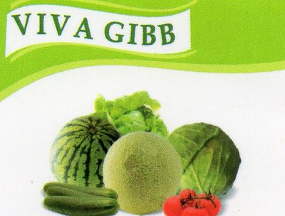 Trademark VIVA GIBB + LUKISAN