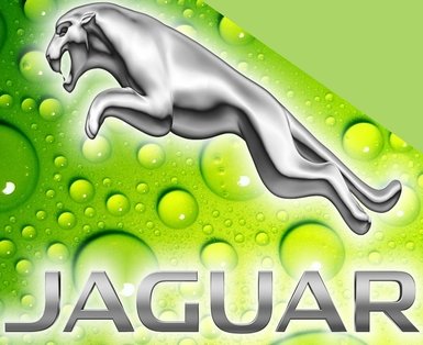 Trademark JAGUAR + Logo