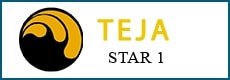 Trademark TEJA STAR 1 + LOGO