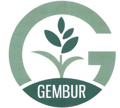 Trademark GEMBUR + LOGO