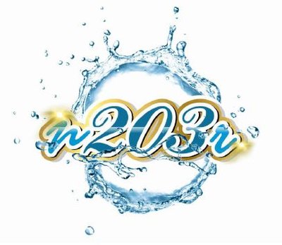 Trademark n203r + Logo