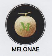 Trademark MELONAE + LUKISAN