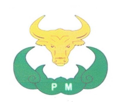 Trademark LOGO PM