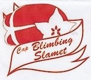 Trademark CAP BLIMBING SLAMET