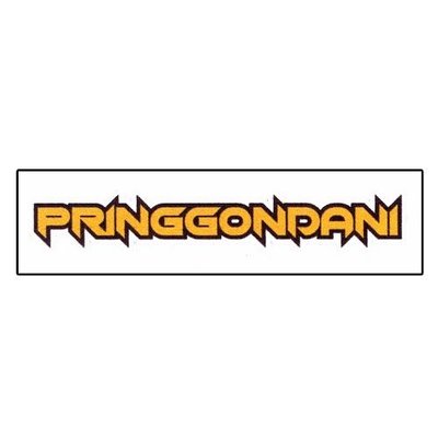 Trademark PRINGGONDANI + LOGO