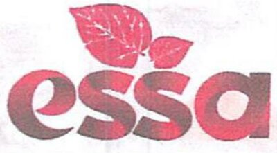 Trademark essa + logo