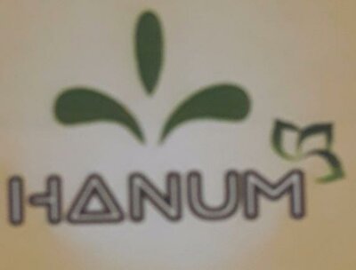 Trademark HANUM + LOGO