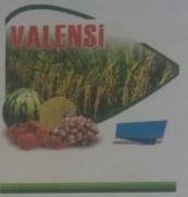 Trademark VALENSI + LUKISAN/LOGO