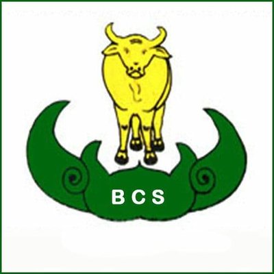 Trademark BCS + LUKISAN/LOGO