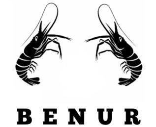 Trademark BENUR