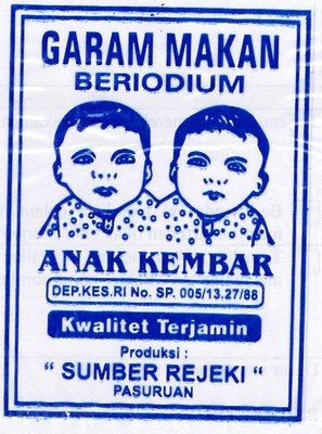 Trademark ANAK KEMBAR + LOGO/LUKISAN