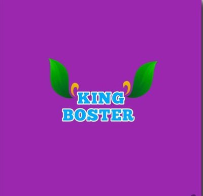 Trademark KING BOSTER