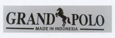 Trademark GRAND POLO