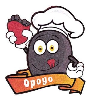 Trademark OPOYO + LOGO