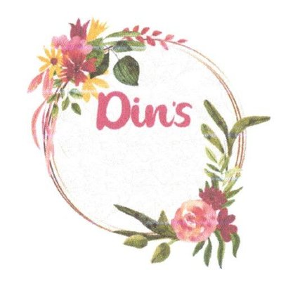 Trademark Din's + logo